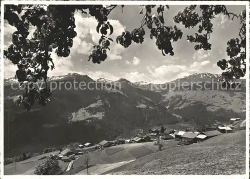 Pany Panorama Blick gegen das Mattlishorn