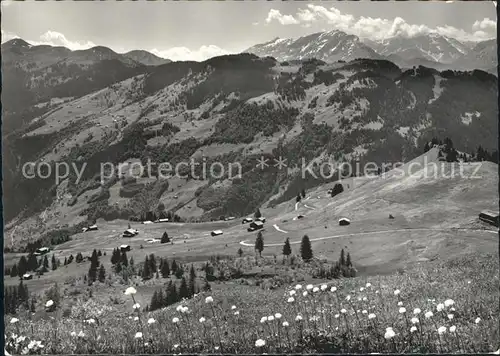 Schiers Panorama Blick vom Stelserberg gegen Furna und Calanda Buendner Alpen Kat. Schiers