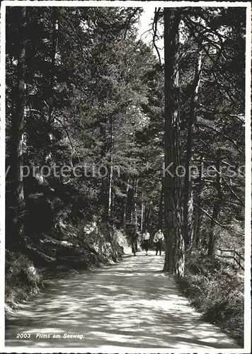 Flims Waldhaus Am Seeweg Kat. Flims Waldhaus