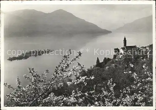 Ronco TI Insel Ufer Kirche / Ronco /Bz. Locarno