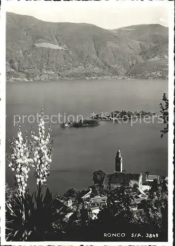 Ronco TI Insel Berg Kirche / Ronco /Bz. Locarno