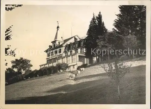 Feusisberg Hotel Schoenfels Kat. Feusisberg