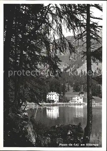 Plaun da Lej Silsersee / Plaun da Lej da /Bz. Maloja