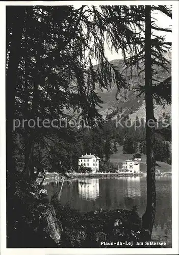 Plaun da Lej Silsersee / Plaun da Lej da /Bz. Maloja