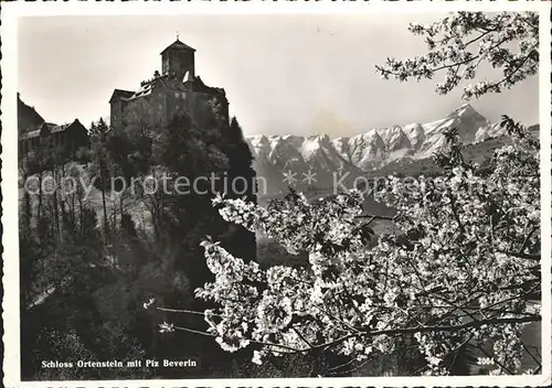 Tumegl Schloss Ortenstein Piz Beverin Kat. Tumegl