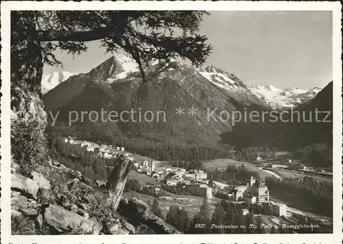 Pontresina Piz Palue Roseggletscher Kat. Pontresina