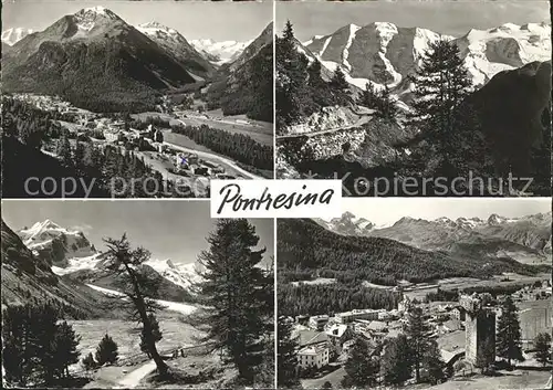 Pontresina  Kat. Pontresina