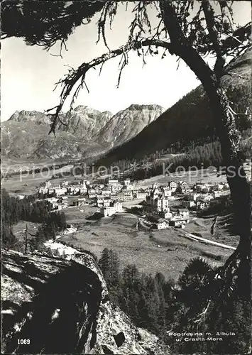 Pontresina Albula Crasta Mora Kat. Pontresina