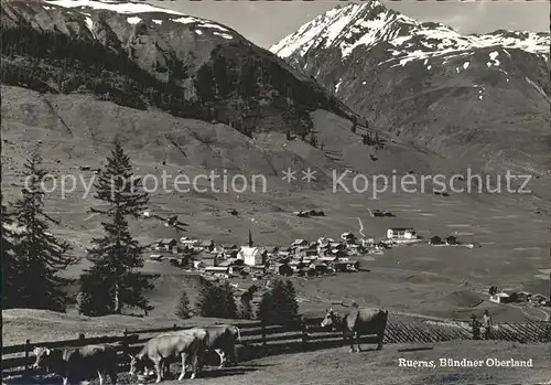 Rueras Kuehe  Kat. Rueras