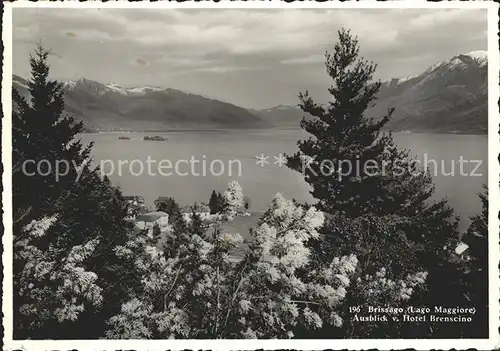 Brissago Partie am Lago Maggiore Blick vom Hotel Brenscino / Brissago /Bz. Locarno