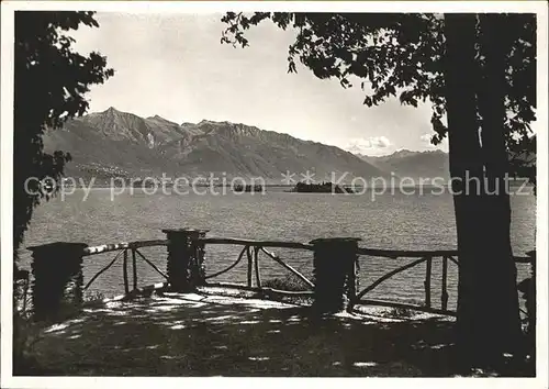 Brissago Blick von Miralago auf Lago Maggiore / Brissago /Bz. Locarno