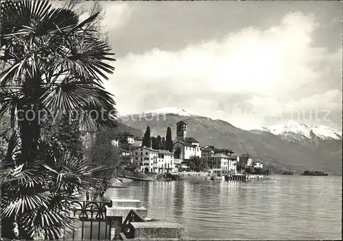 Brissago Panorama am Lago Maggiore / Brissago /Bz. Locarno