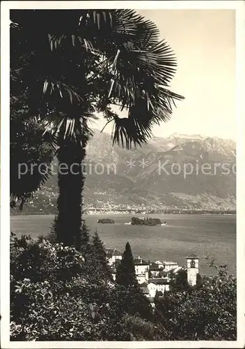 Brissago Panorama mit Inselblick / Brissago /Bz. Locarno