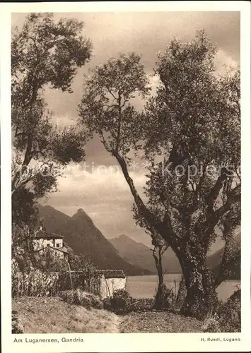 Gandria Lago di Lugano Seepartie Kat. Gandria