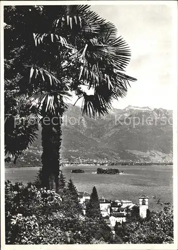 Brissago Inselblick Lago Maggiore / Brissago /Bz. Locarno