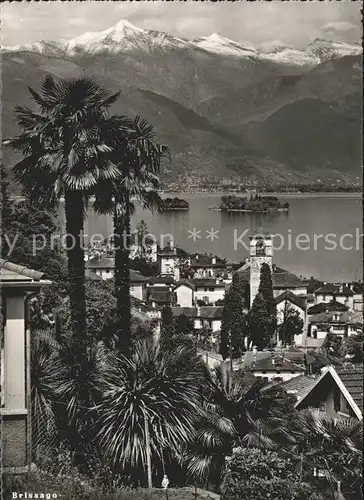 Brissago Partie am Lago Maggiore / Brissago /Bz. Locarno