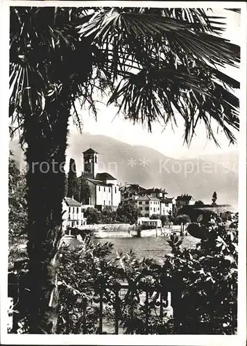 Brissago Partie am Lago Maggiore / Brissago /Bz. Locarno