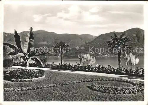 Brissago Lago Maggiore Park Exotische Pflanzen  / Brissago /Bz. Locarno