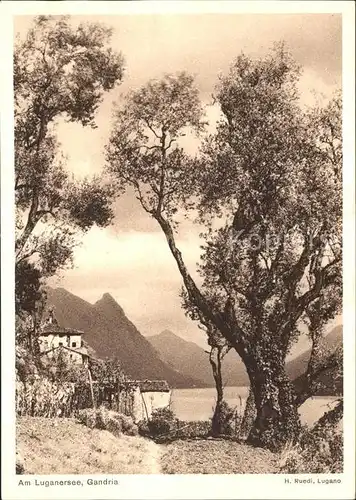 Gandria Lago di Lugano Panorama  Kat. Gandria