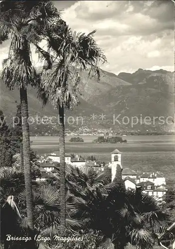 Brissago Panorama Lago Maggiore / Brissago /Bz. Locarno