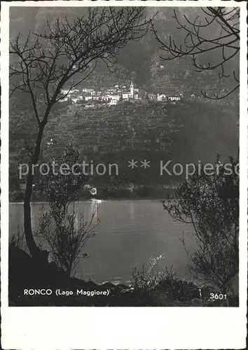 Ronco TI Panorama Lago Maggiore / Ronco /Bz. Locarno