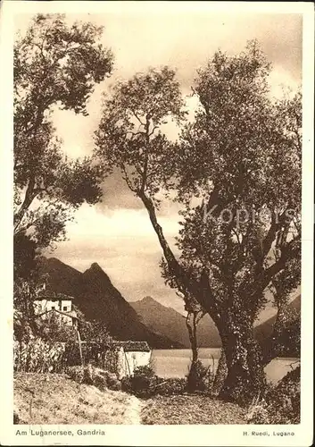 Gandria Lago di Lugano Panorama am Luganersee Kat. Gandria