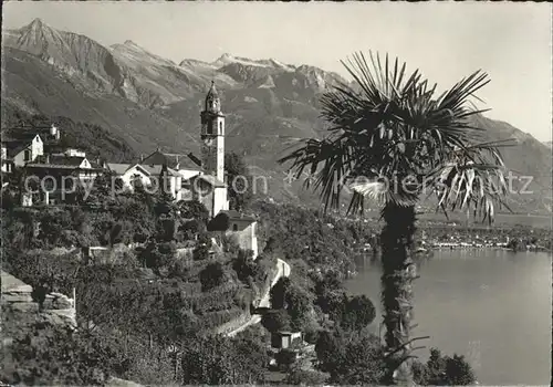 Ronco TI Panorama Lago Maggiore / Ronco /Bz. Locarno