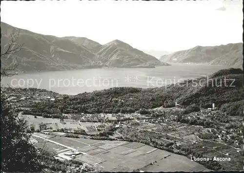 Losone Panorama Lago Maggiore Kat. Losone