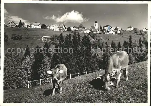 Wald AR Vorderland Teilansicht Kurort Ferienland Appenzell Viehweide Kuehe Kat. Wald