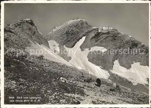 Schwaegalp Blick vom Lisengrat zum Saentis Oberservatorium Berghotel Appenzeller Alpen Kat. Schwaegalp