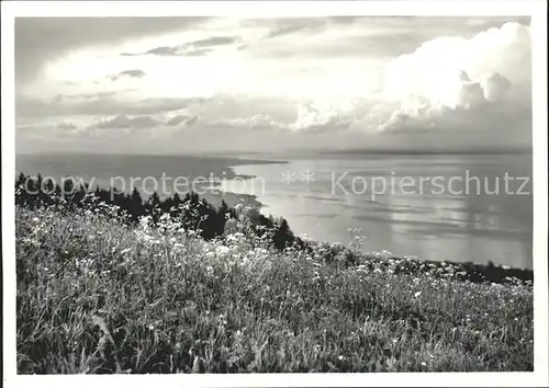 Wienacht Tobel Abendstimmung am Bodensee Blick von der Landegg Kat. Wienacht Tobel