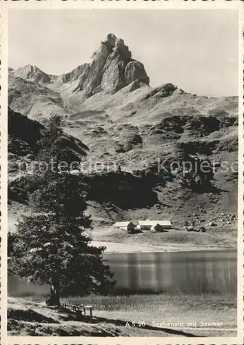 Seebenalp mit Sexmor Bergsee Kat. Flumserberg Bergheim