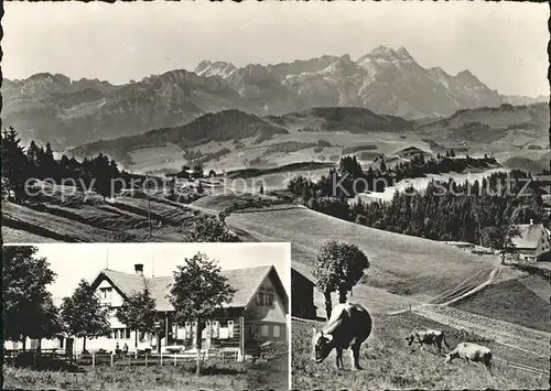 st19983 Buehler AR Gasthaus Saul Kuehe Panorama Blick zur Saentiskette Appenzeller Alpen Kategorie. Buehler Alte Ansichtskarten