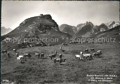 Hoher Kasten Kamoralp Almwiese Kuehe Berggasthaus mit Altmann und Saentis Kat. Appenzeller Alpen