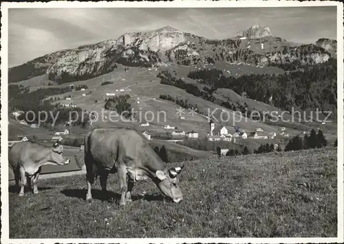 Bruelisau mit Kamor und Hoher Kasten Kuehe Kat. Bruelisau