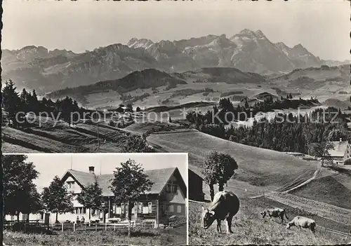 st20132 Buehler AR Gasthaus Saul Kuehe Panorama Blick auf Saentiskette Appenzeller Alpen Kategorie. Buehler Alte Ansichtskarten