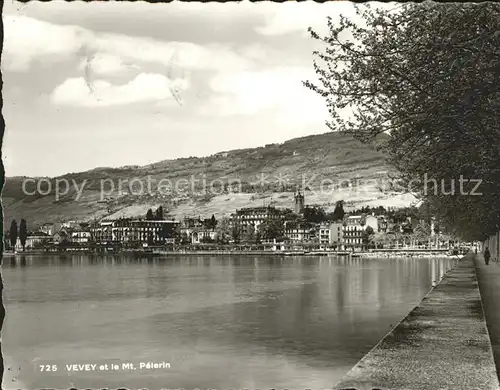 Vevey VD Promenade Lac Leman et Mont Pelerin Kat. Vevey