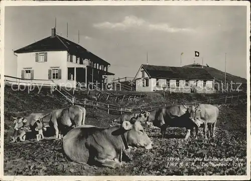 Hundwil Gasthaus Hundwilerhoehe Kuehe Kat. Hundwil