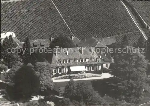 Vinzel Chateau La Batie vue aerienne Kat. Vinzel