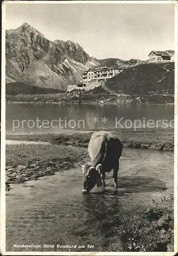 Melchsee Frutt Hotel Reinhard am See Kuh Kat. Melchsee Frutt