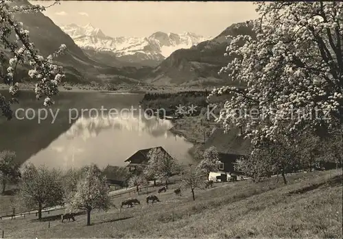 Sarnen Fruehling am Sarnersee Kat. Sarnen