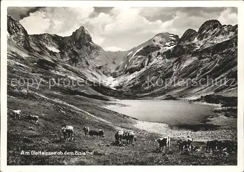 Bisisthal Partie am Glattalpsee Rinderherde Kat. Bisisthal