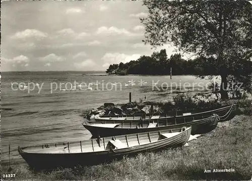 Altenrhein Uferpartie am Alten Rhein Boote Schwaene Kat. Altenrhein