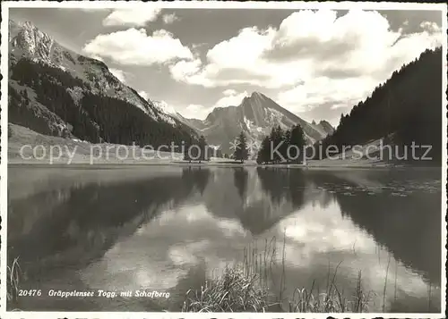 Unterwasser Toggenburg Graeppelensee mit Schafberg Bergsee Appenzeller Alpen Kat. Unterwasser