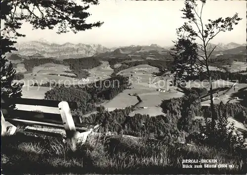 Dicken Restaurant Pension Bergli Blick zum Saentis Alpenpanorama Kat. Dicken