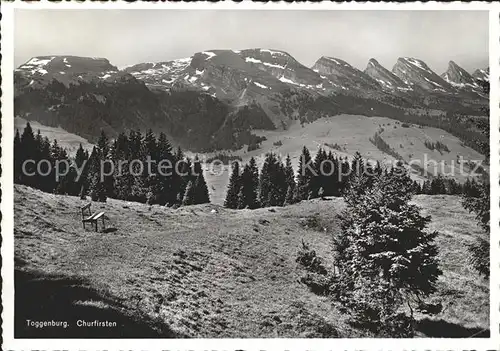 Wildhaus SG Panorama mit Churfirsten Appenzeller Alpen Kat. Wildhaus Lisighaus