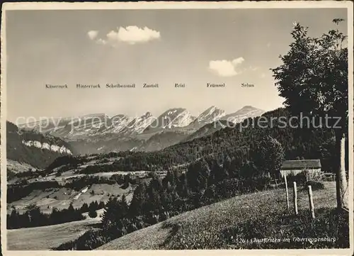 Wildhaus SG Panorama Obertoggenburg mit Churfirsten Appenzeller Alpen Kat. Wildhaus Lisighaus