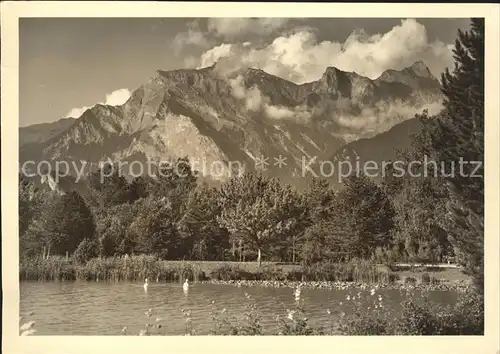 Bad Ragaz Giessenparksee Wasservoegel Alpenpanorama Kat. Bad Ragaz