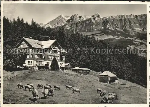 Buchs SG Hotel Kurhaus Buchserberg Viehweide Kuehe Alpenpanorama /  /