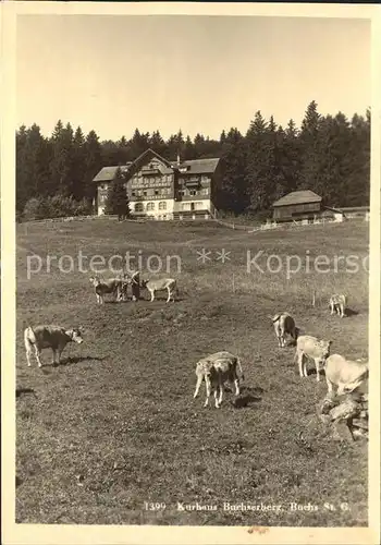 Buchs SG Kurhaus Buchserberg Viehweide Kuehe /  /